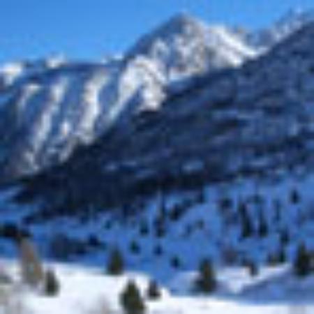 Bean and Gone Coffee Shop